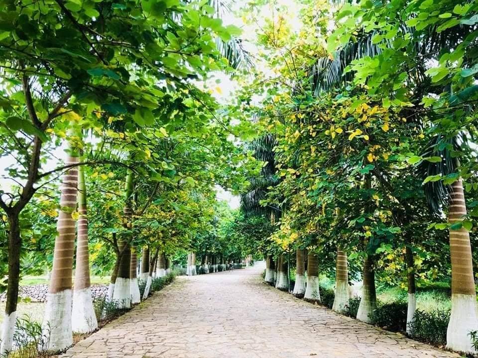 Tour du lịch Làng Sỏi Resort 1 Ngày Team Building Giá Rẻ