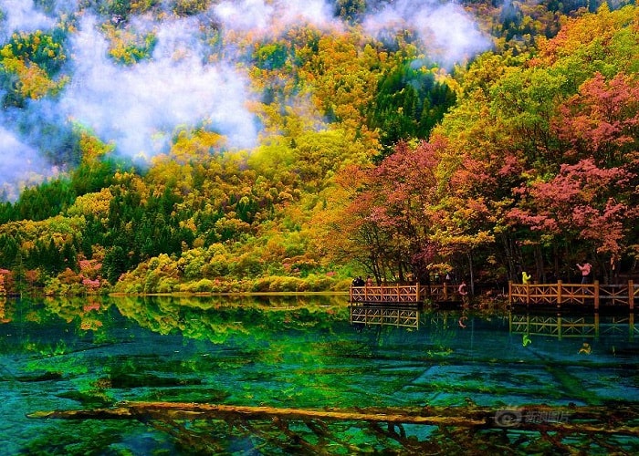 HÀ NỘI - NAM NINH – THÀNH ĐÔ - LẠC SƠN ĐẠI PHẬT - CỬU TRẠI C U  – M U NI C U - ĐÔ GIANG YỂN CÔNG VIÊN GẤU TRÚC 7N6D