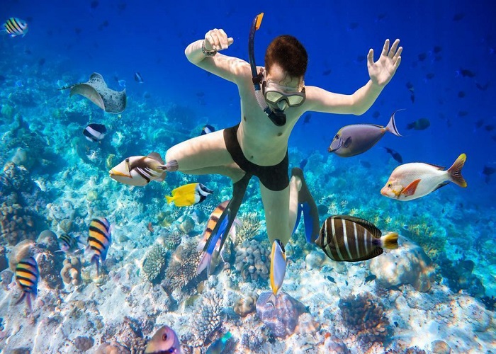 Tour Lặn Ngắm San Hô Phú Quốc 1 Ngày Kết Hợp Thăm Quan Nam Đảo