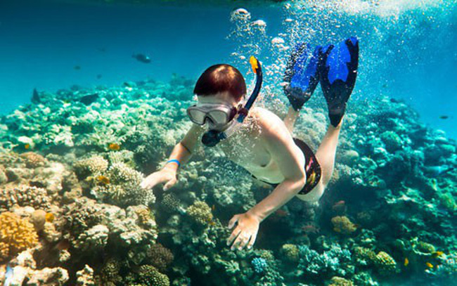 TOUR CÙ LAO CHÀM – LẶN NGẮM SAN HÔ (1 NGÀY)