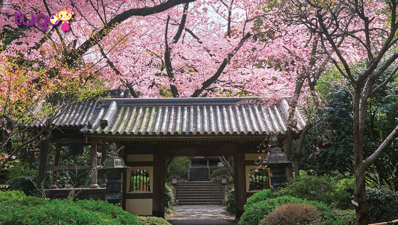 HÀ NỘI – TOKYO– PHÚ SĨ – HAKONE – KYOTO – OSAKA –  HÀ NỘI 6N5D