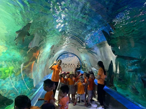 TOUR HỌC SINH THIÊN ĐƯỜNG BẢO SƠN 1 NGÀY