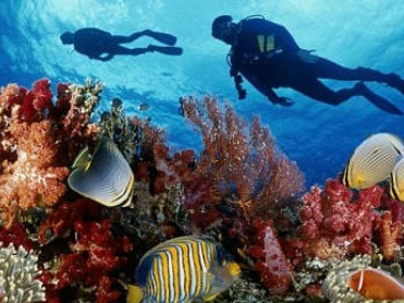 TOUR CÙ LAO CHÀM – LẶN NGẮM SAN HÔ (1 NGÀY)