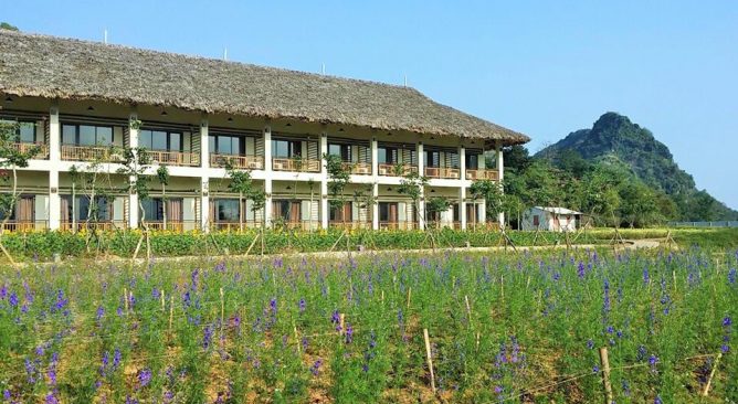 Tour Du Lịch An Lạc Eco Farm And Hot Springs 1 Ngày Giá rẻ