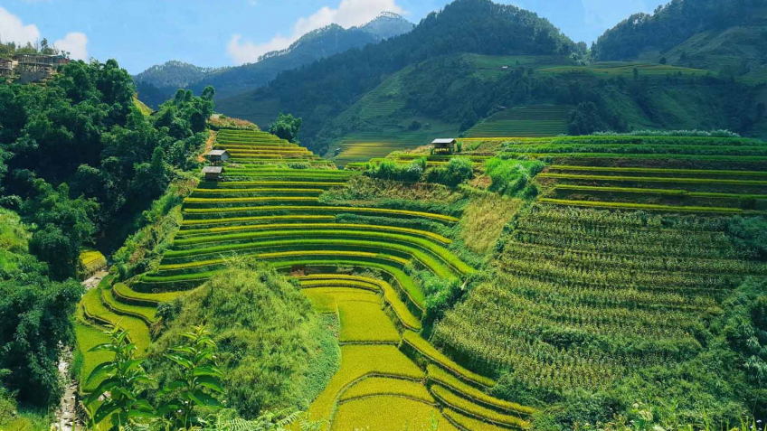 TOUR MÙ CANG CHẢI – ĐÈO KHAU PHẠ – TÚ LỆ – TRẠM TẤU