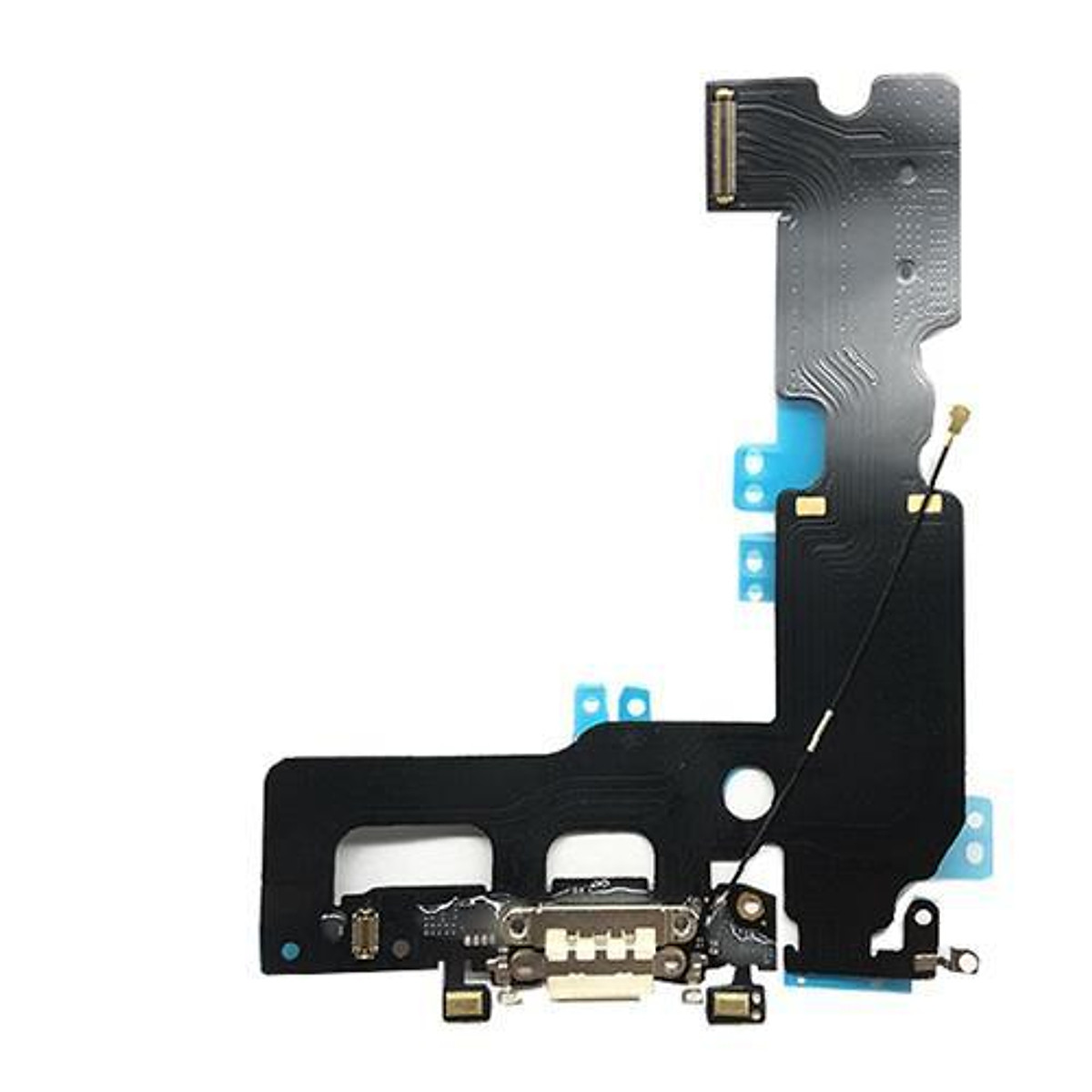 CỤM SẠC, CHÂN SẠC