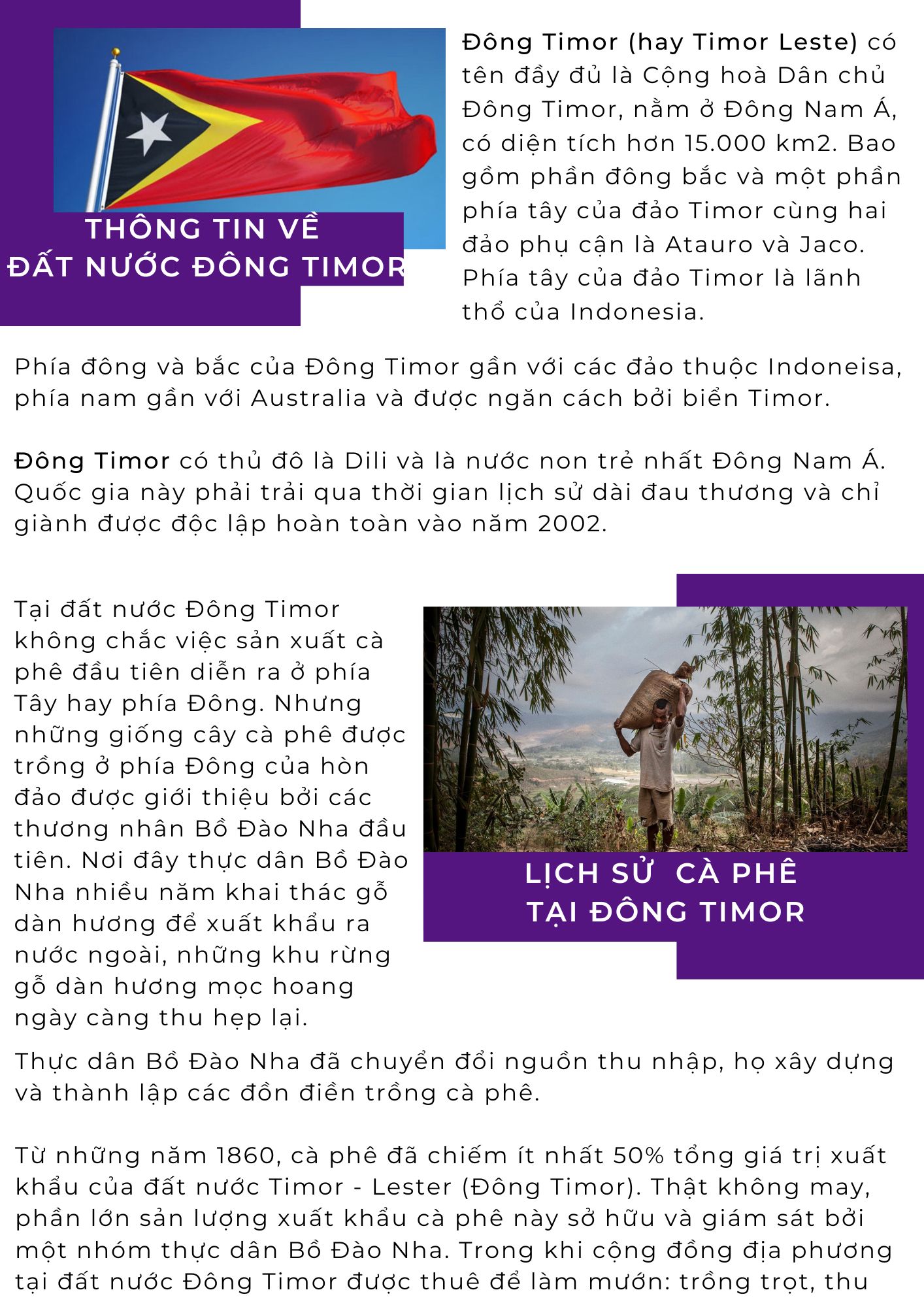 Lịch sử cà phê tại Đông Timor