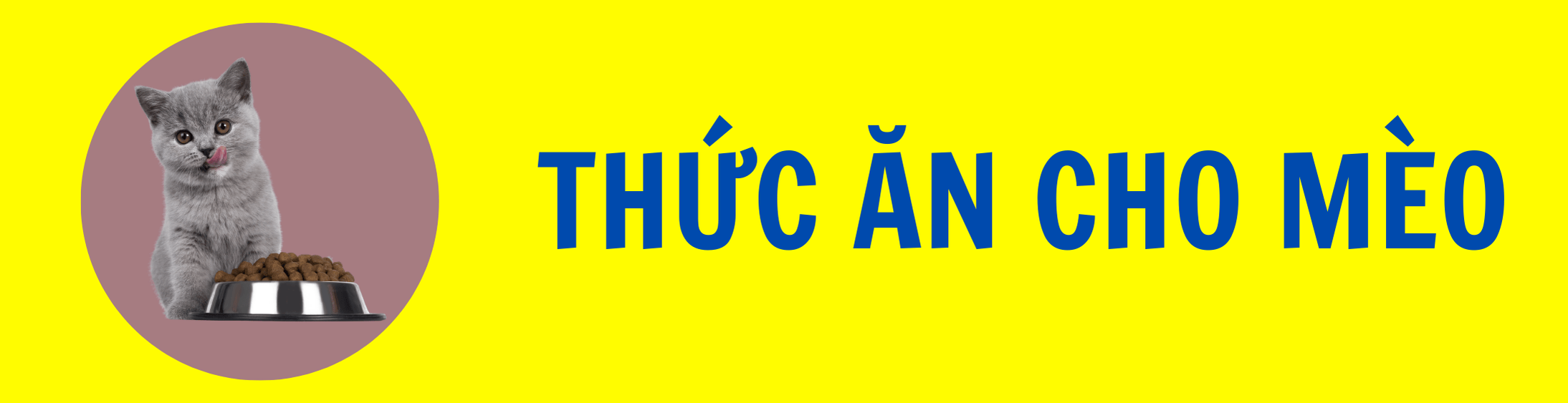 THỨC ĂN CHO MÈO
