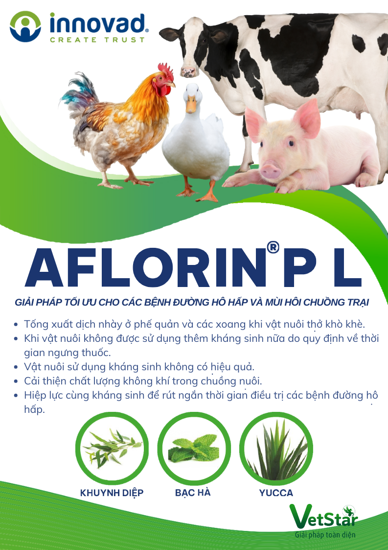 LỢI ÍCH CỦA TINH DẦU TRONG CHĂN NUÔI GIA SÚC, GIA CẦM