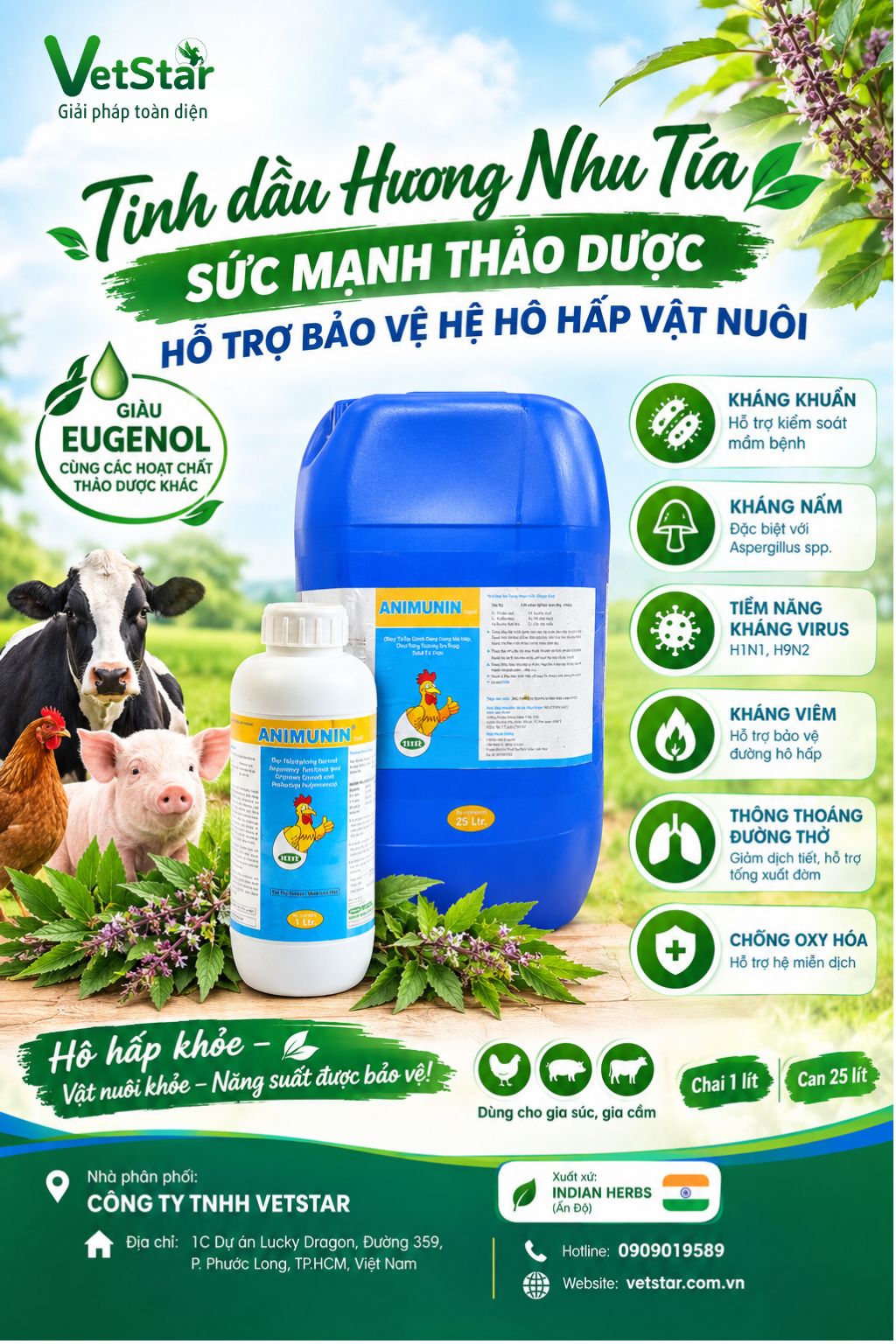 tinh-dau-huong-nhu-tia-suc-manh-thao-duoc-ho-tro-bao-ve-he-ho-hap-vat-nuoi