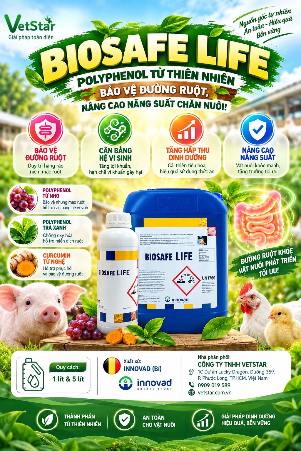 polyphenol-tu-thien-nhien-bao-ve-duong-ruot-nang-cao-nang-suat-chan-nuoi