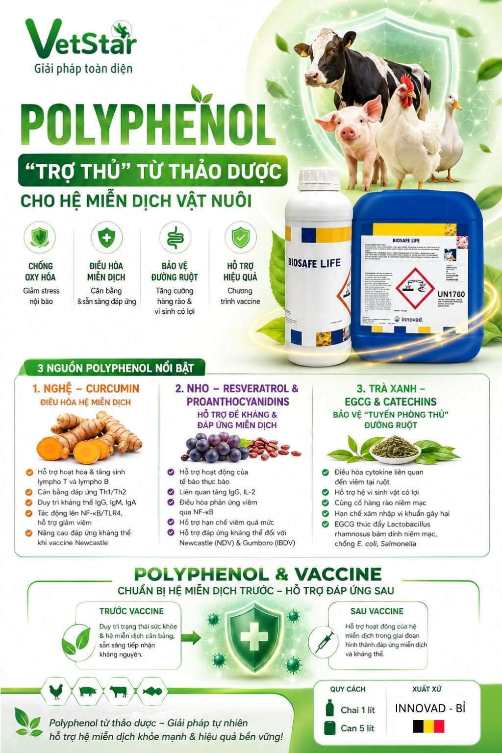 polyphenol-tro-thu-tu-thao-duoc-cho-he-mien-dich-vat-nuoi