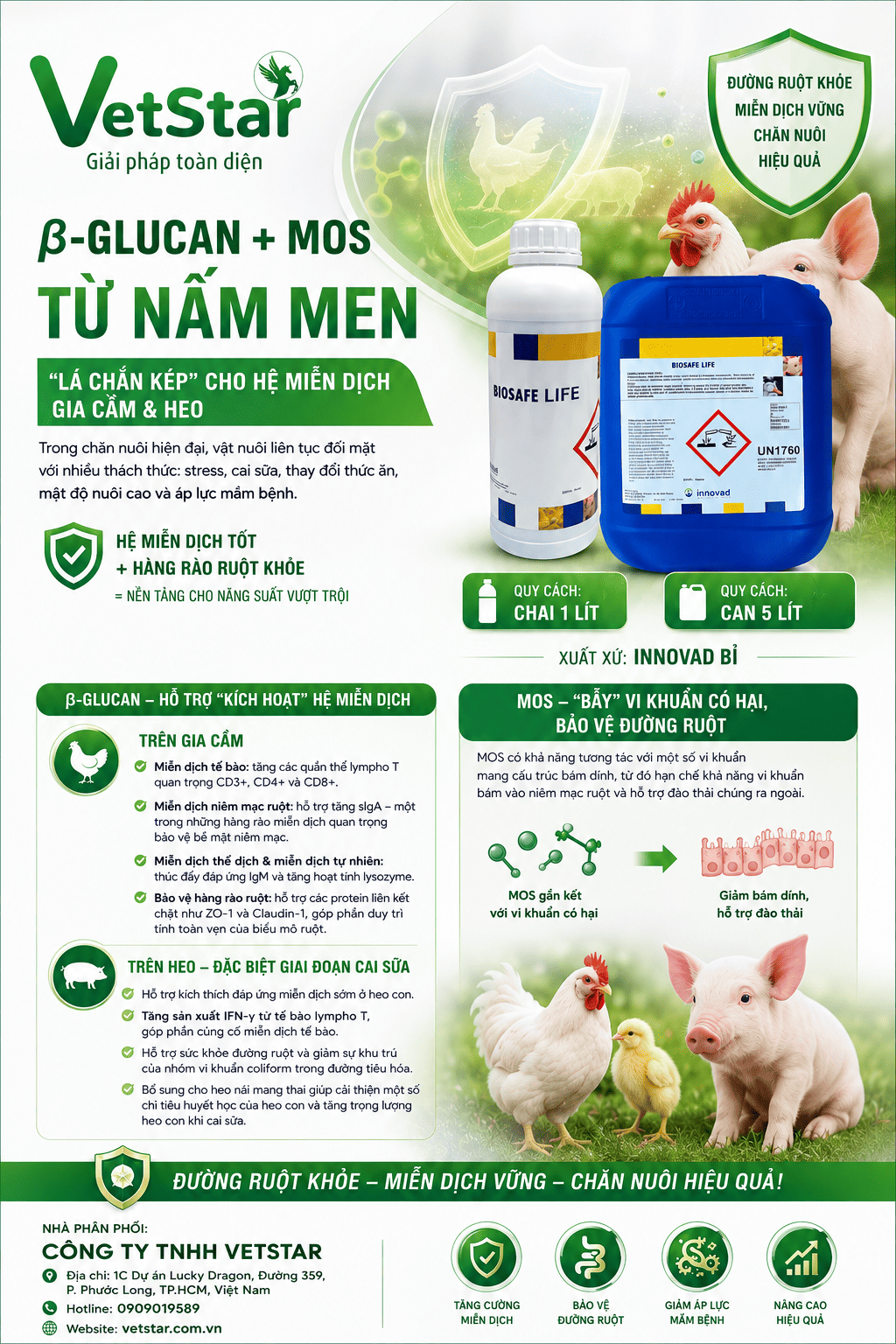 glucan-mos-tu-nam-men-la-chan-kep-cho-he-mien-dich-gia-cam-heo
