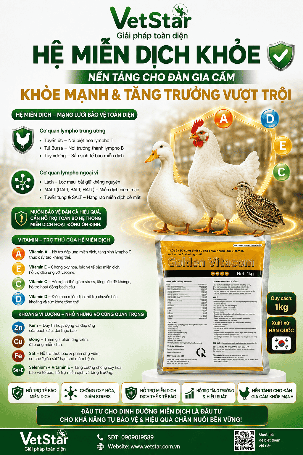 he-mien-dich-khoe-nen-tang-cho-dan-gia-cam-khoe-manh-tang-truong-vuot-troi