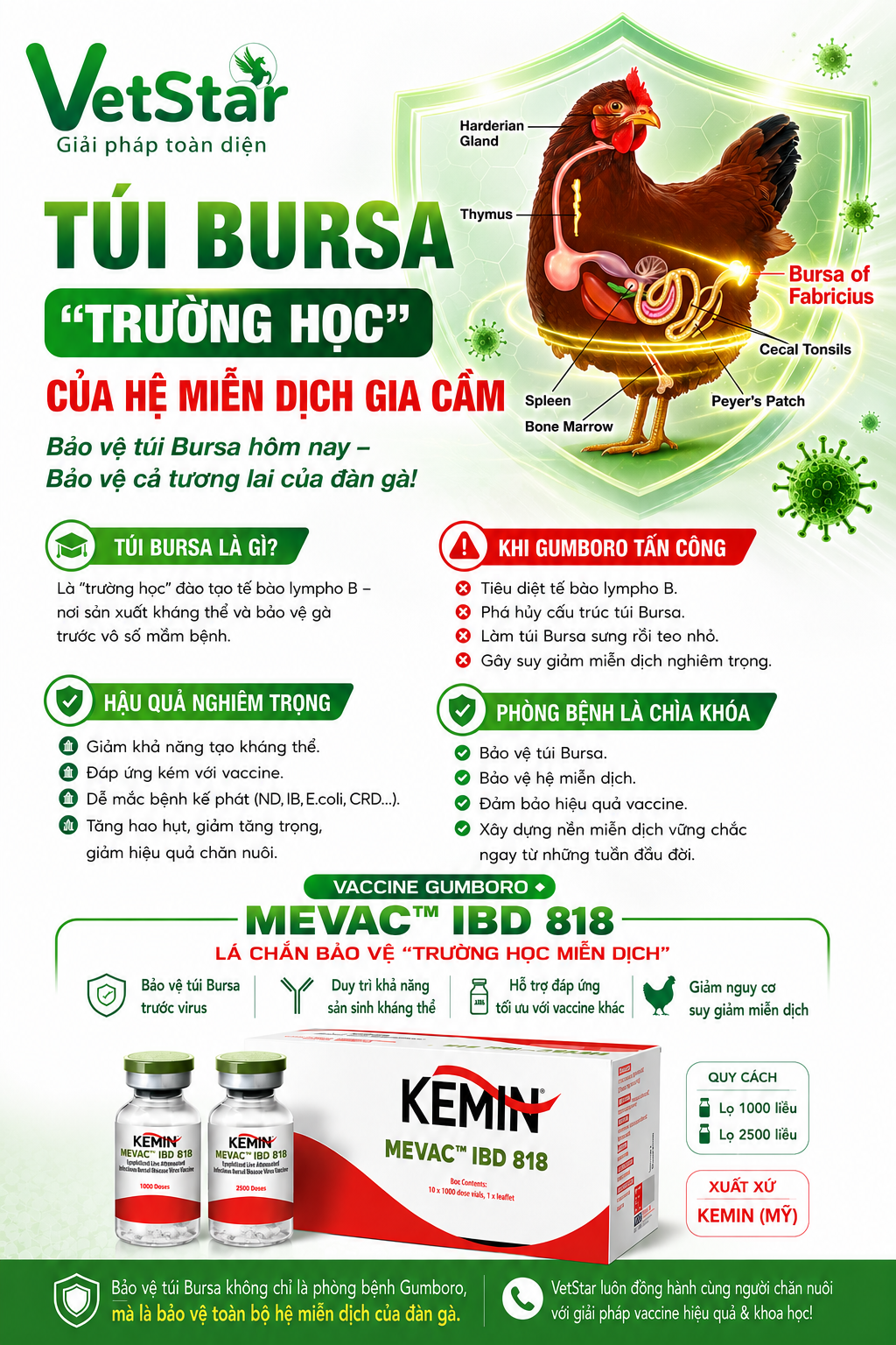 tui-bursa-truong-hoc-cua-he-mien-dich-gia-cam