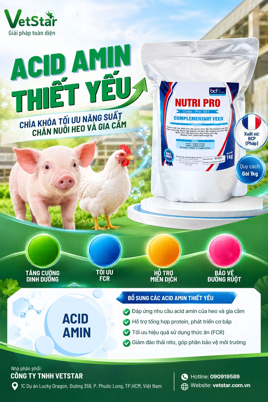 acid-amin-thiet-yeu-chia-khoa-toi-uu-nang-suat-chan-nuoi-heo-va-gia-cam