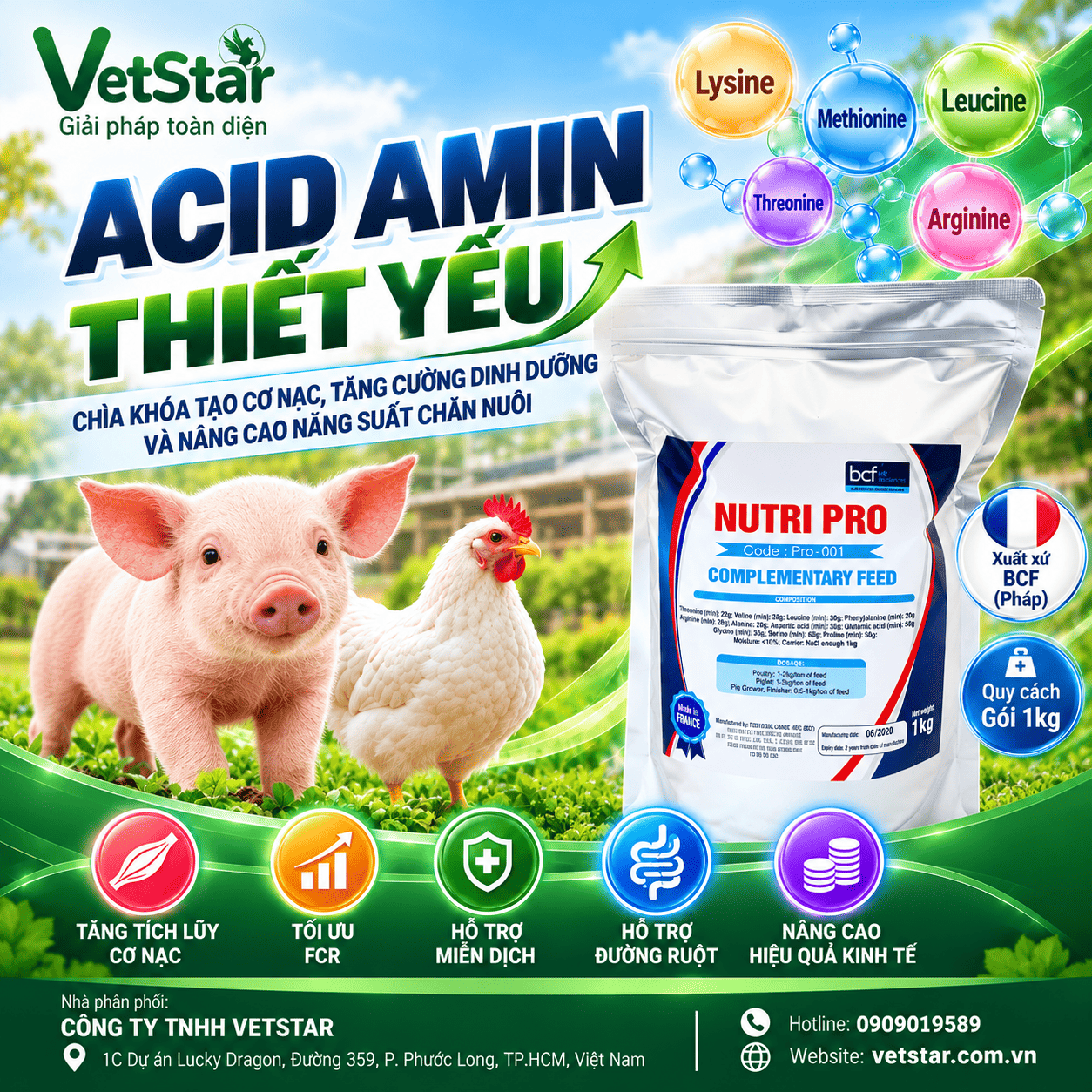 acid-amin-chia-khoa-tao-co-nac-tang-cuong-dinh-duong-va-nang-cao-nang-suat-chan-