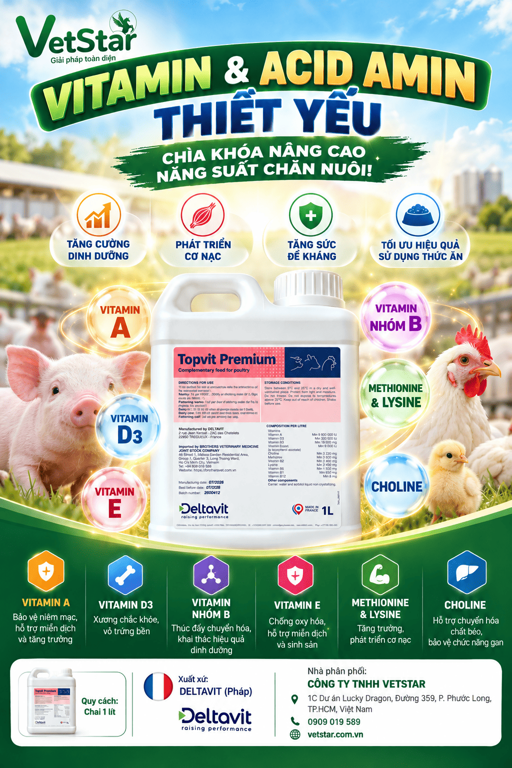 vitamin-acid-amin-thiet-yeu-chia-khoa-nang-cao-nang-suat-chan-nuoi