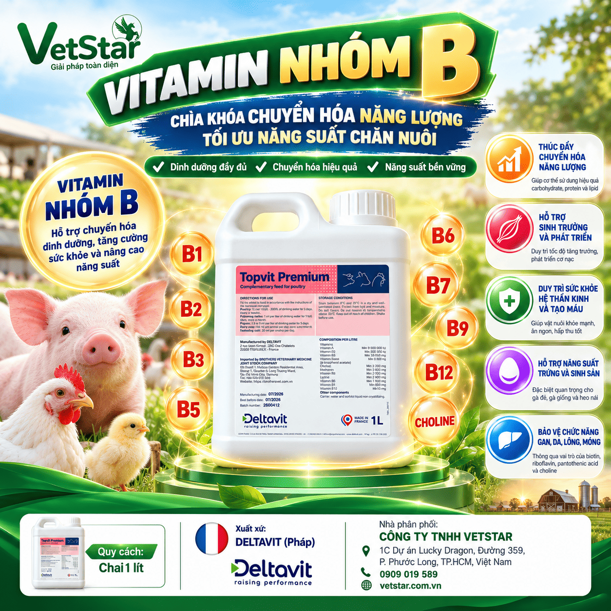 vitamin-nhom-b-chia-khoa-chuyen-hoa-nang-luong-toi-uu-nang-suat-chan-nuoi