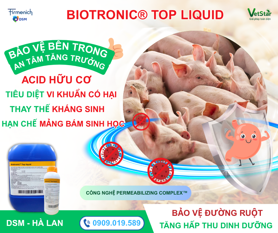 toi-uu-hoa-ve-sinh-he-thong-cho-an-dang-long-de-nang-cao-chat-luong-thuc-an-cho-