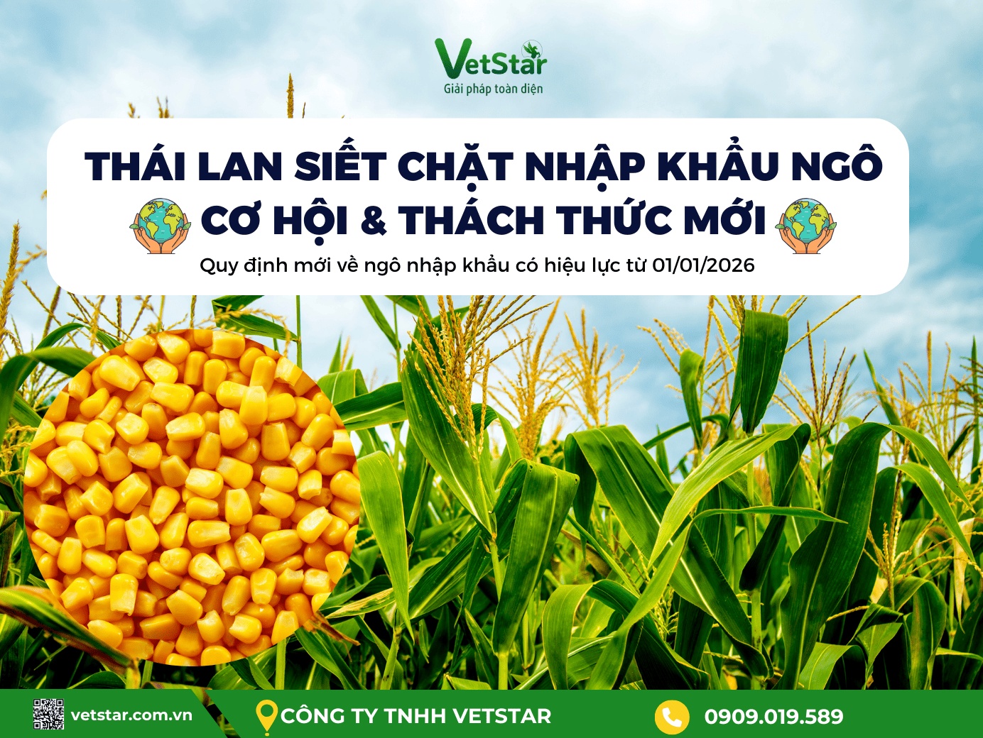thai-lan-siet-nhap-khau-ngo-co-hoi-thach-thuc-cho-nganh-thuc-an-chan-nuoi