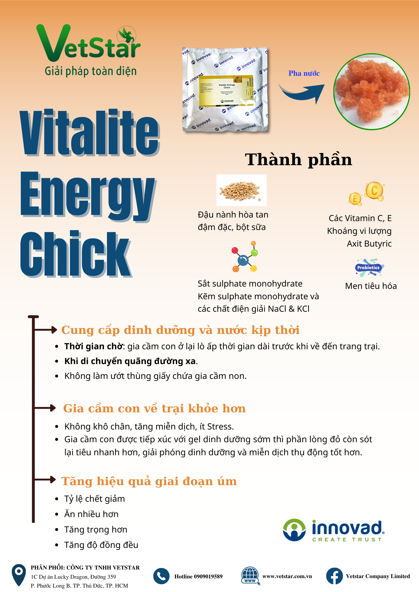 VITALITE ENERGY CHICK