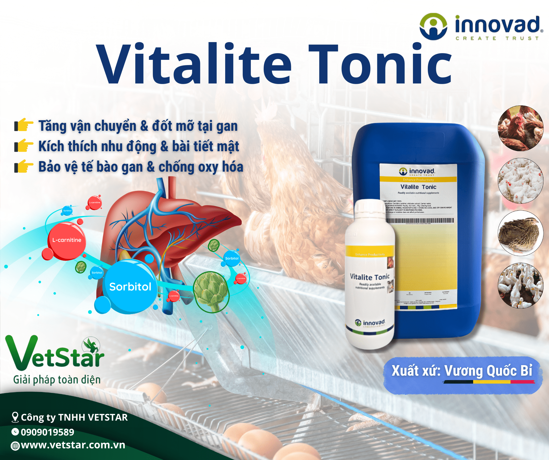 phong-ngua-gan-nhiem-mo-xuat-huyet-flhs-o-ga-de-co-che-nguyen-nhan-va-giai-phap