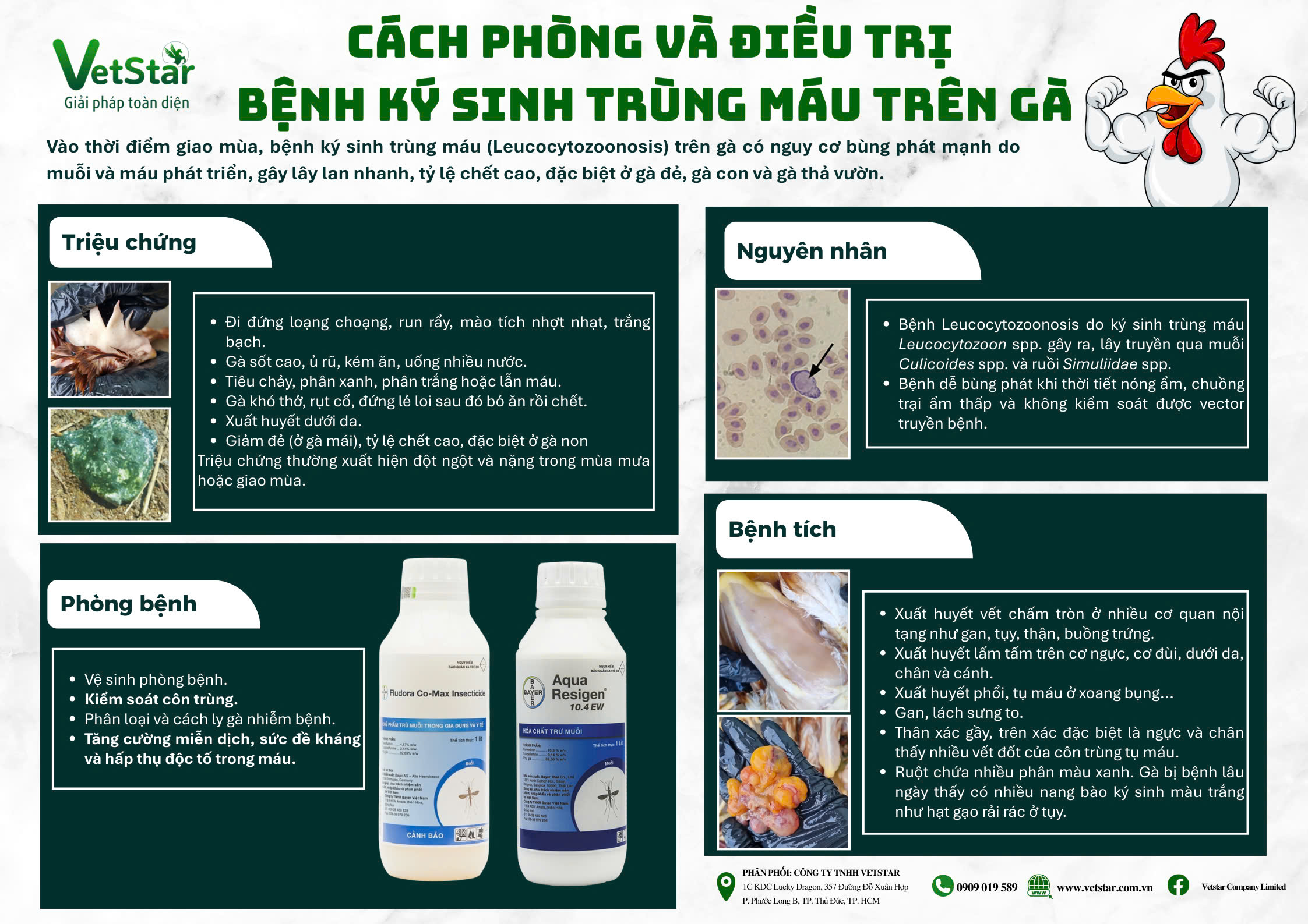 canh-bao-benh-leucocytozoonosis-tren-ga-khi-giao-mua-phong-ngua-hieu-qua-voi-flu