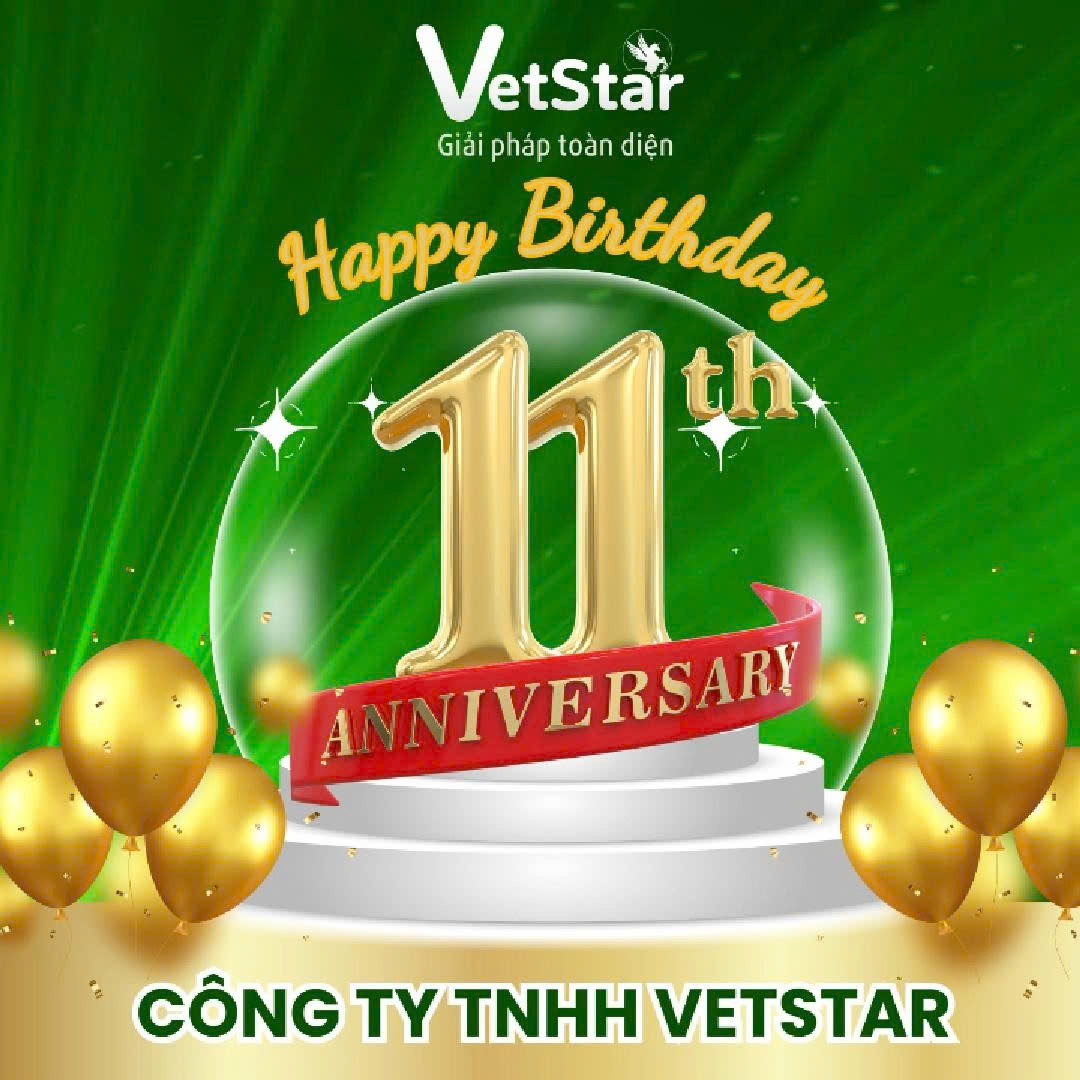 🎉 KỶ NIỆM NGÀY THÀNH LẬP CÔNG TY TNHH VETSTAR – 11 NĂM VỮNG BƯỚC & PHÁT TRIỂN 🎉