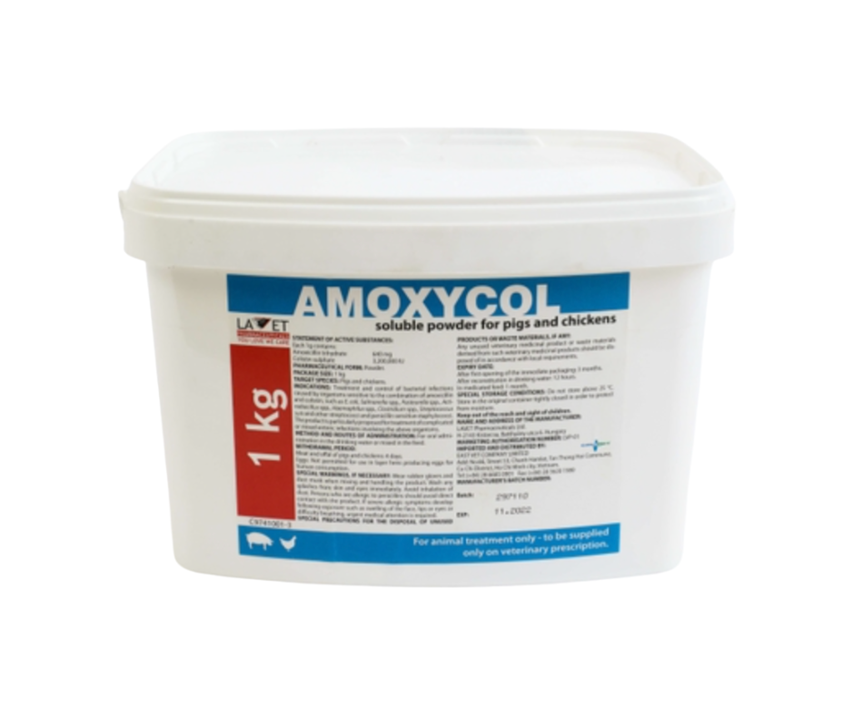 amoxycol