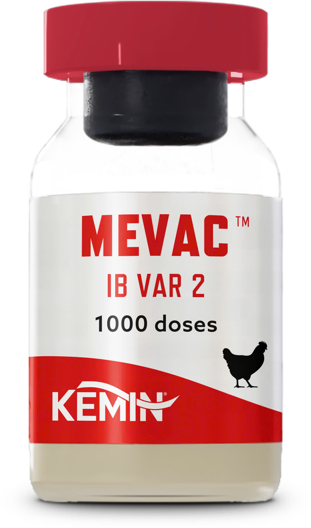 mevac-ib-var-2