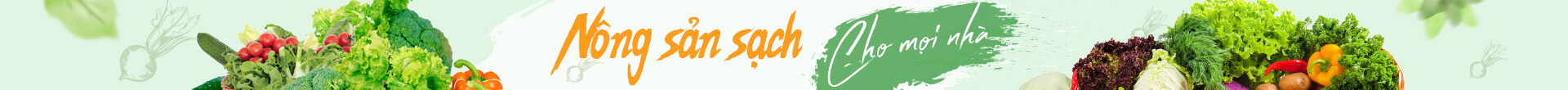 Banner header