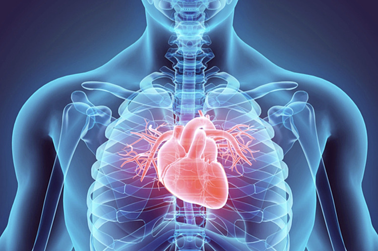 Tại Sao Đang Khỏe Bỗng Ngừng Tim Đột Ngột? Cảnh Báo Không Nên Bỏ Qua