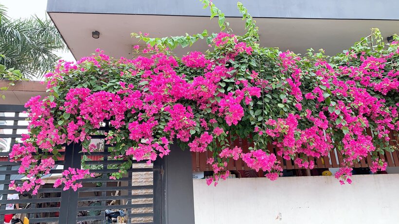 Phong Thủy Nhà Hướng Tây Bắc: Bí Quyết Tạo Nên Sự Thịnh Vượng Và Bình An