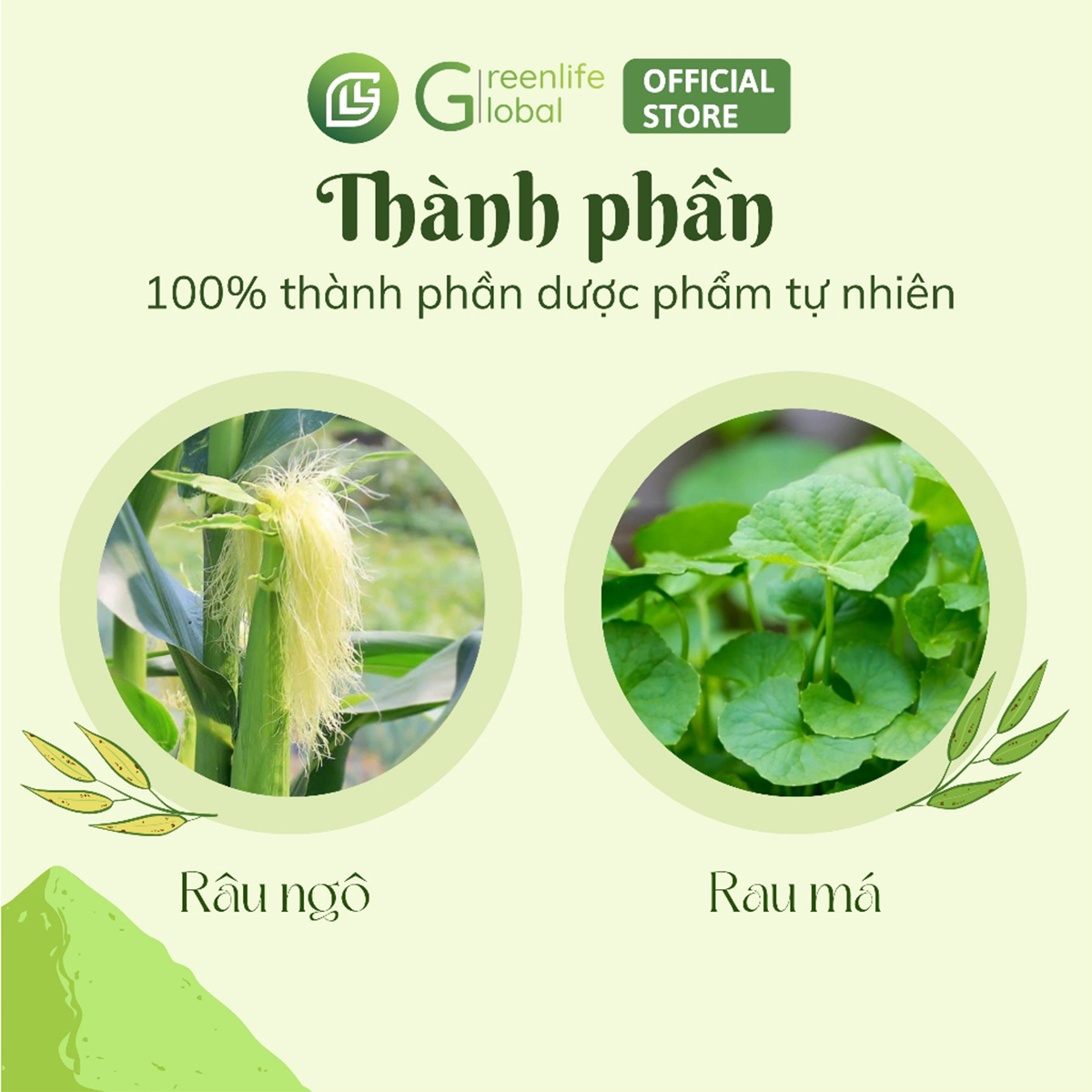 Trà râu ngô Đại Uy chính hãng (150g) - thanh nhiệt, mát gan, giải độc, lợi tiểu