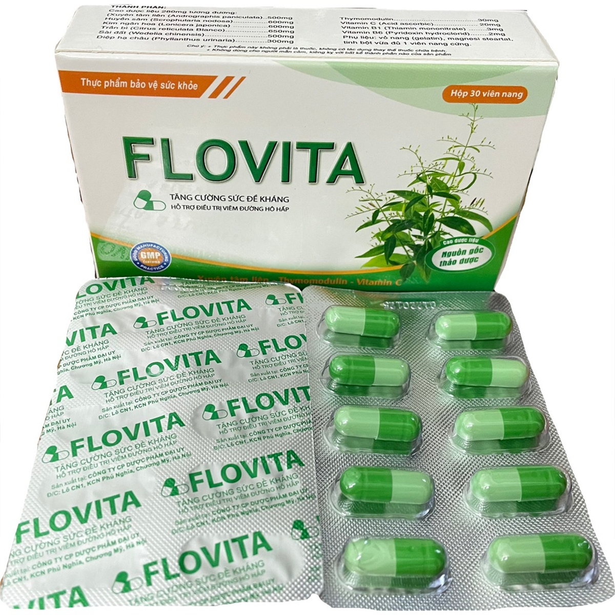 Viên uống cảm cúm Xuyên Tâm Liên FLOVITA DAI UY - hỗ trợ giảm viêm hô hấp, tăng sức đề kháng