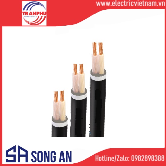 Cáp treo 2 lõi Cu/XLPE/PVC 0,6-1KV