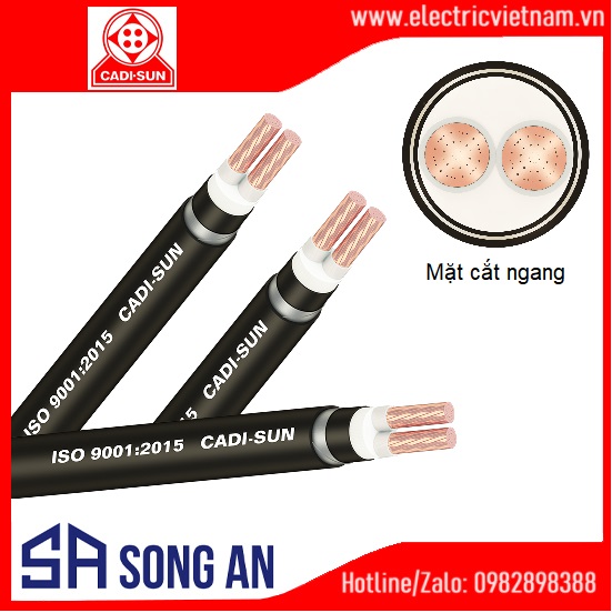 Cáp ngầm 2 lõi Cu/XLPE/PVC/DSTA/PVC 4-25mm2