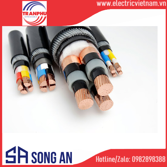 Cáp ngầm 2 lõi Cu/XLPE/PVC/DSTA/PVC 4-25mm2