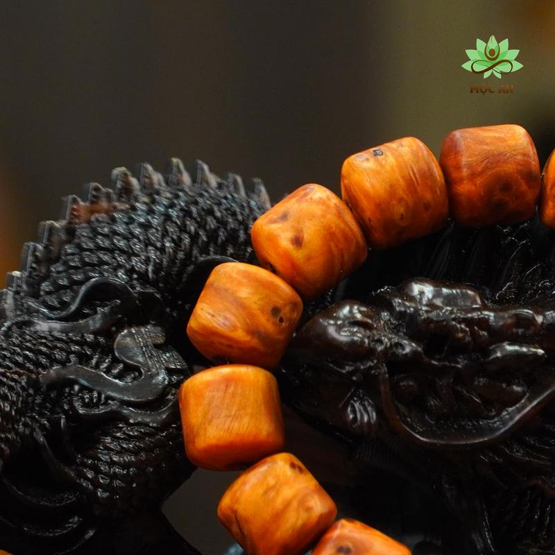 Vòng Nu Huyết Long Bản Nhộng