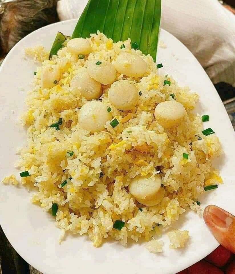 Còi Sò Điệp BABY (40/60) - 1KG