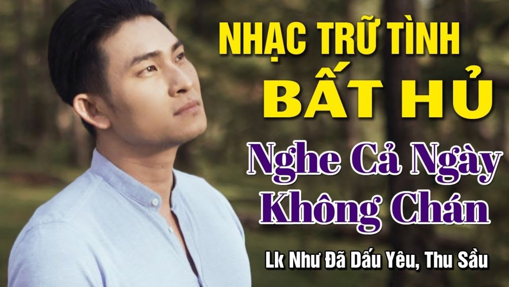 List Ca Nhạc Trữ Tình Dành Cho Người Yêu Nhạc