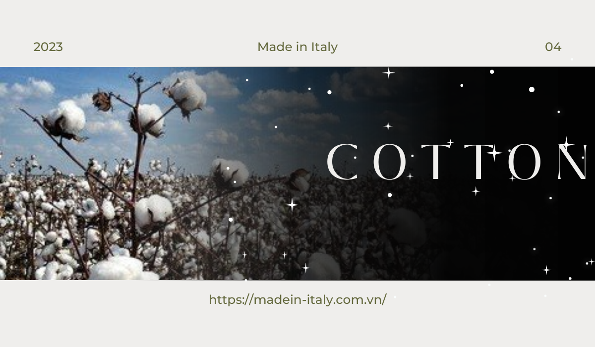 Phân loại các loại cotton được sử dụng phổ biến