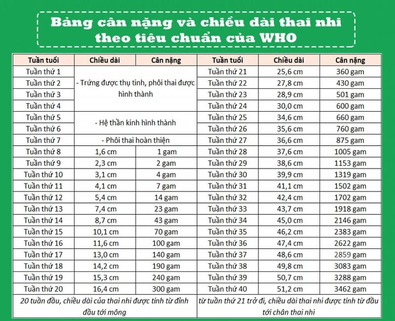 bảng cân nặng thai nhi