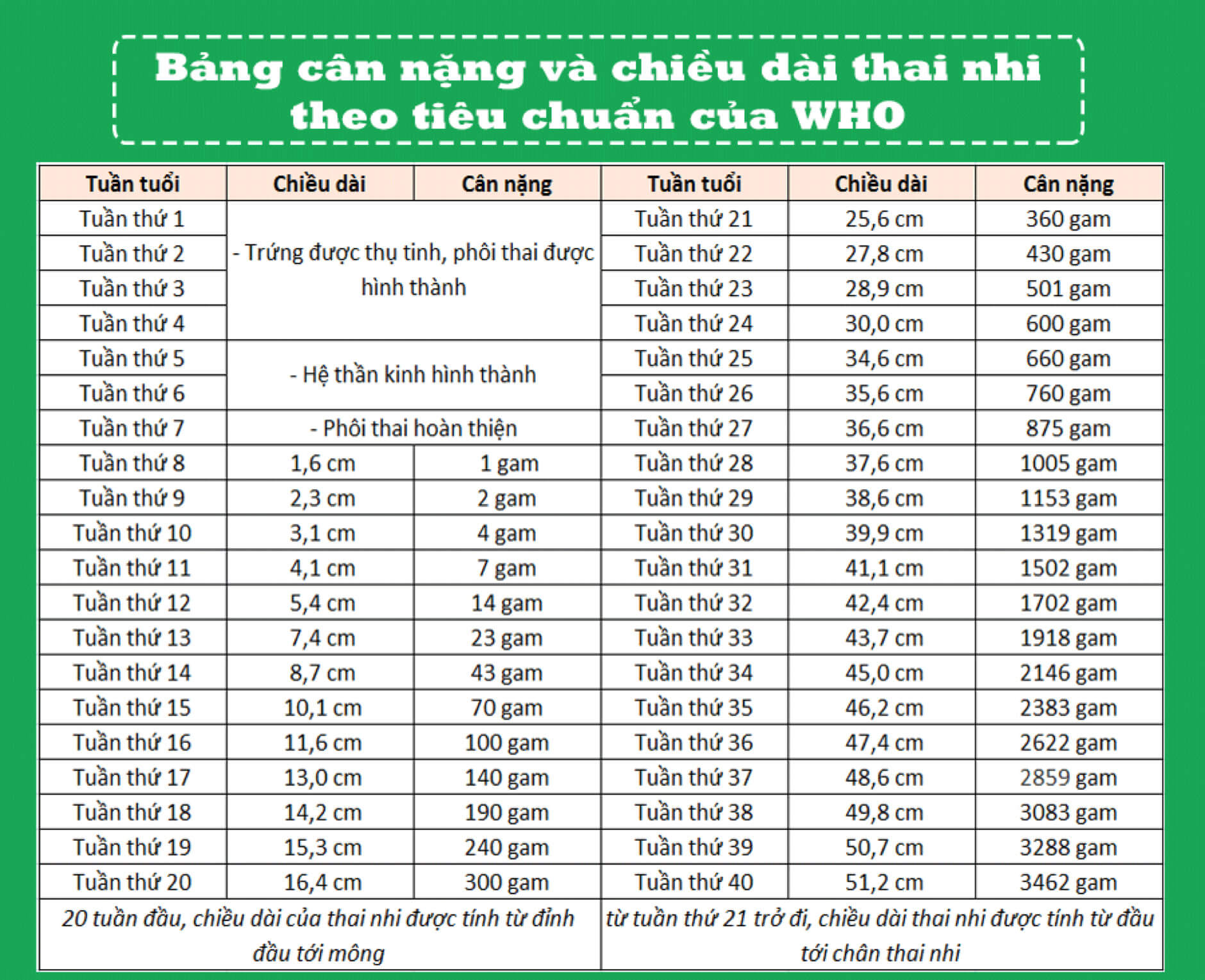 bảng cân nặng thai nhi theo tuần 
