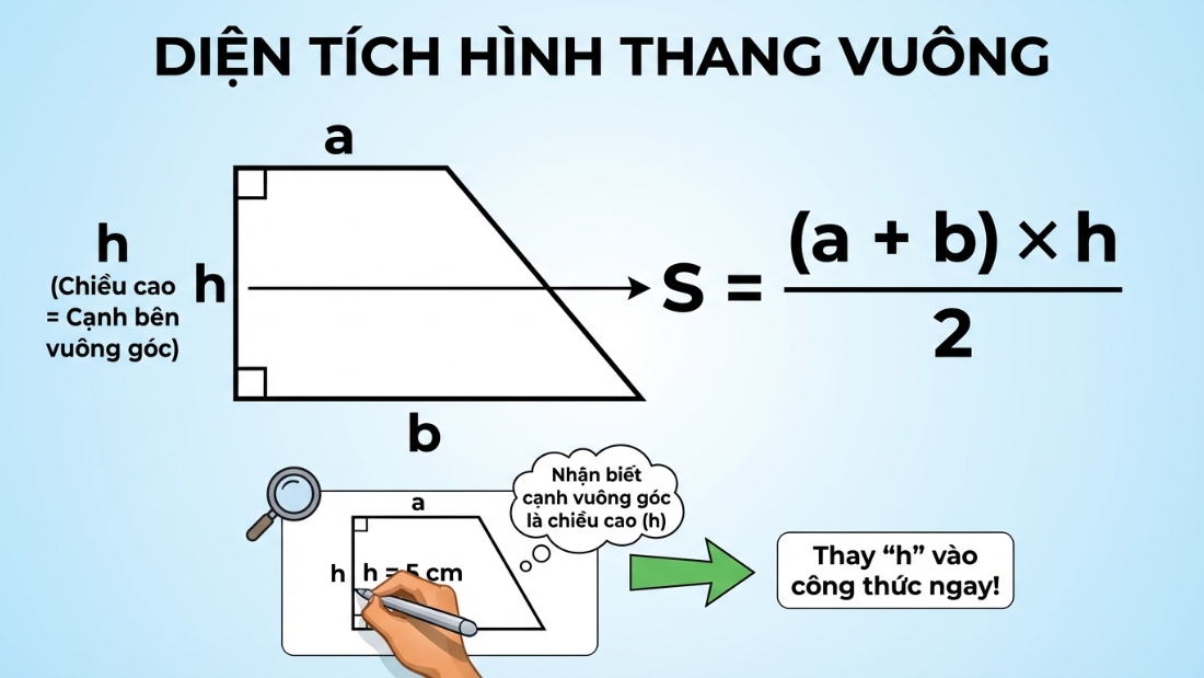 Công Thức Tính Diện Tích Hình Thang
