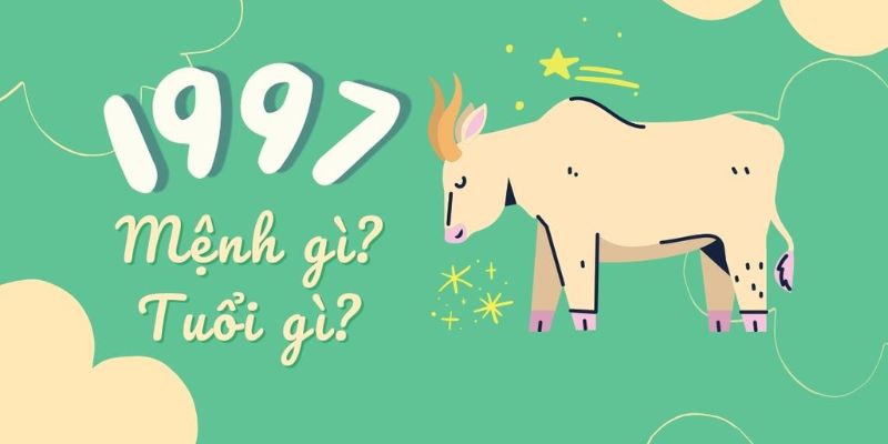 Đinh Sửu 1997 mệnh gì?