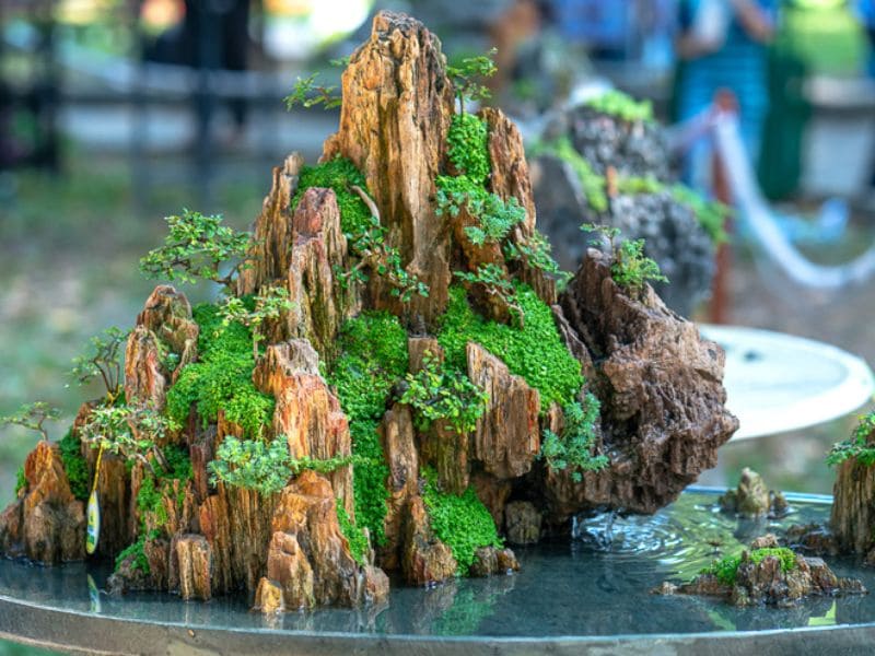 Ba loại hòn nam bộ được chọn sử dụng nhiều nhất bây giờ