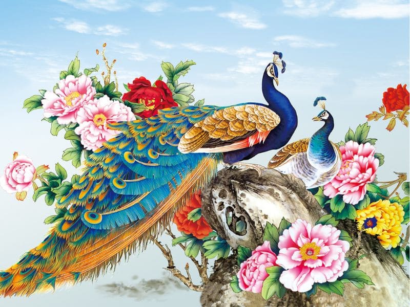 Những bức tranh con công phong thủy ấn tượng