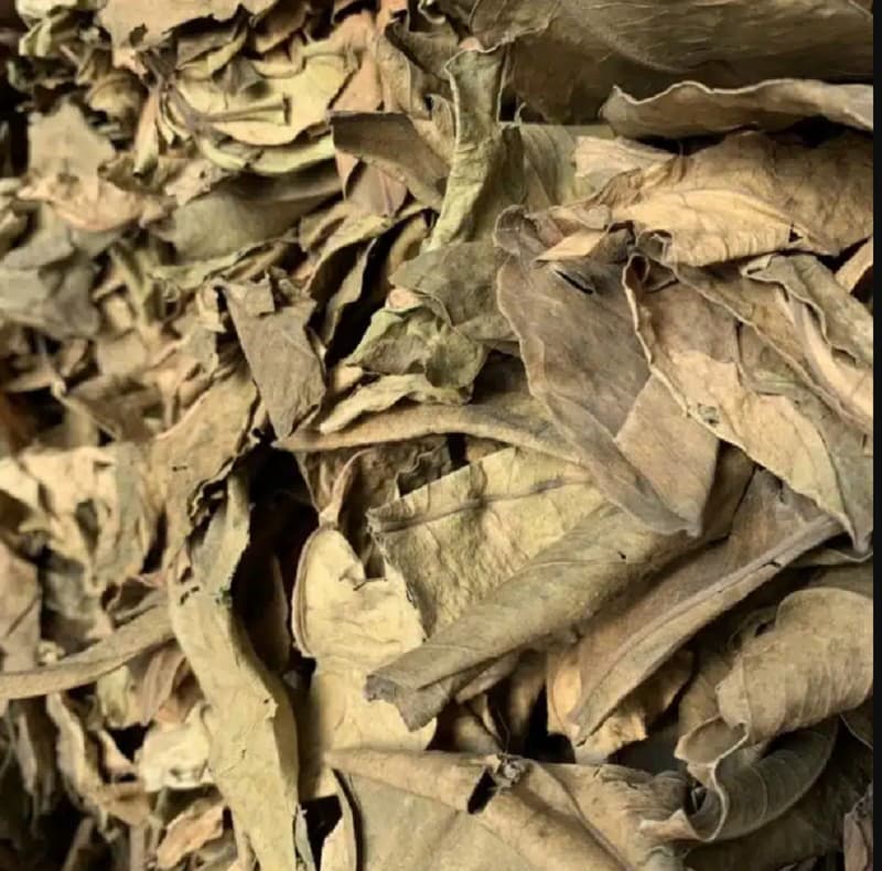 3. Đốt lá bưởi để giải đen cho bản thân